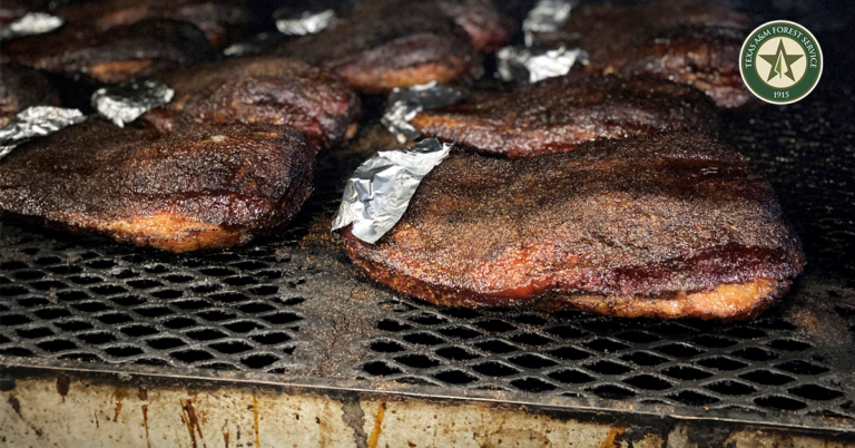 BBQ Smoking Market Evolves while Texas Trees Provide Smokey Flavor for All