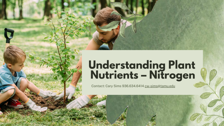 Understanding Plant Nutrients – Nitrogen