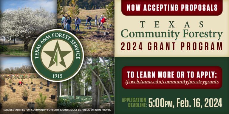 Texas A&M Forest Service Community Forestry Grant Submission Window Now Open