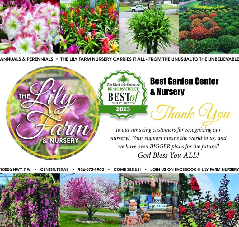 The Lily Farm Nursery: Cultivating Beauty and Community in Center, Texas