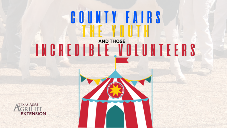 County Fairs, The Youth, and Those Incredible Volunteers