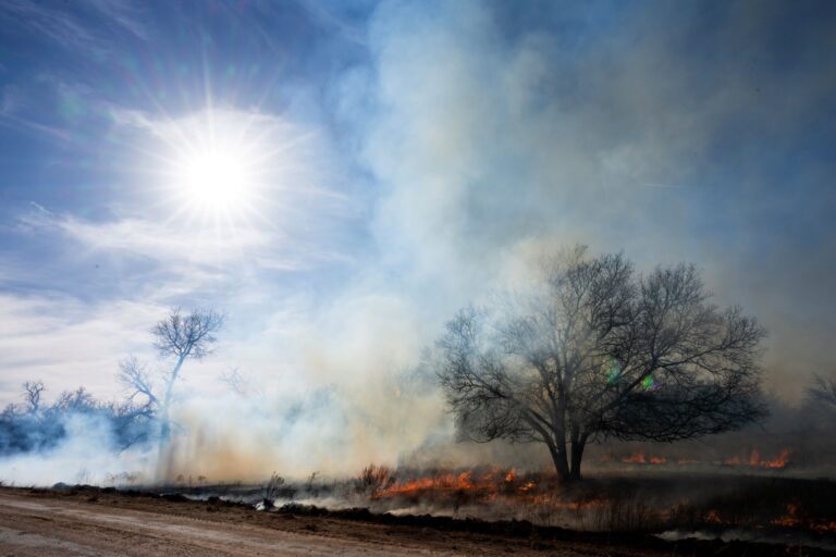 Texans Should Stay Prepared as Extreme Wildfire Danger Increases