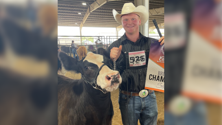 Garrett Thornton Will Show His Last Market Steer at the Angelina County Fair