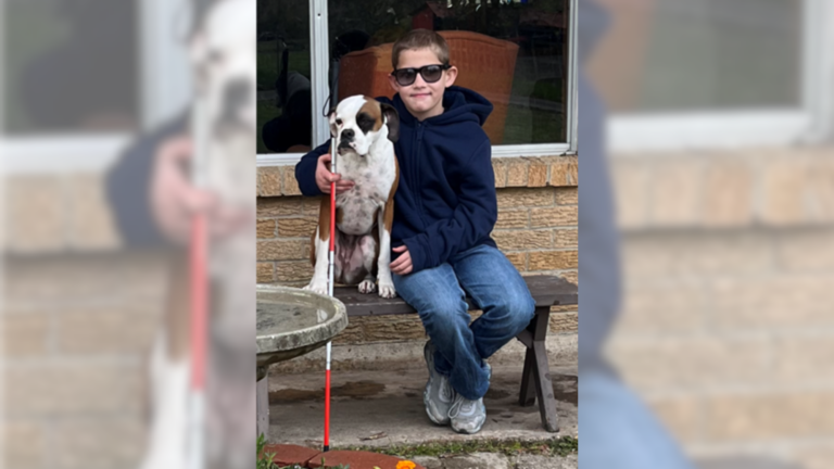 Logan Pillows to Participate in “Reach for the Stars” Show at County Fair