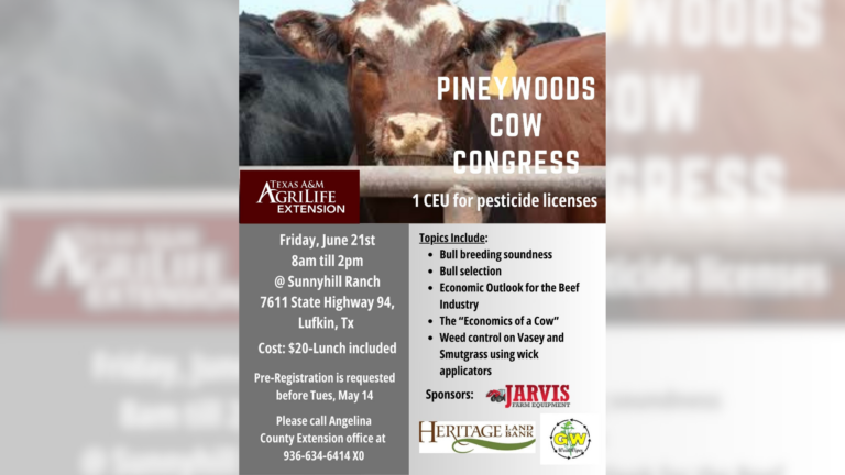 Cattlemen’s Seminar Rescheduled for Friday in Hudson
