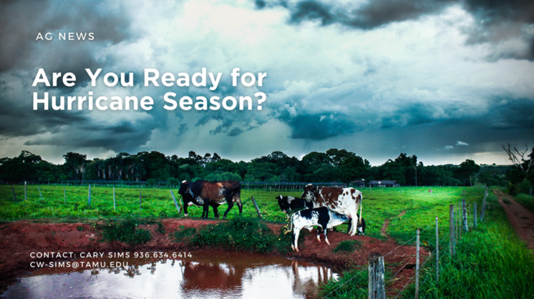 Are You Ready for Hurricane Season?