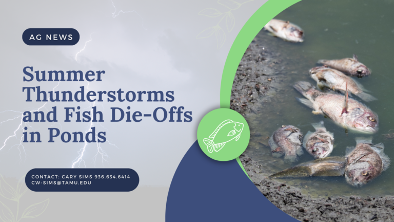 Summer Thunderstorms and Fish Die-Offs in Ponds 