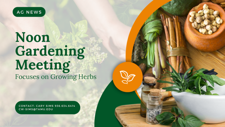 Noon Gardening Meeting Focuses on Growing Herbs