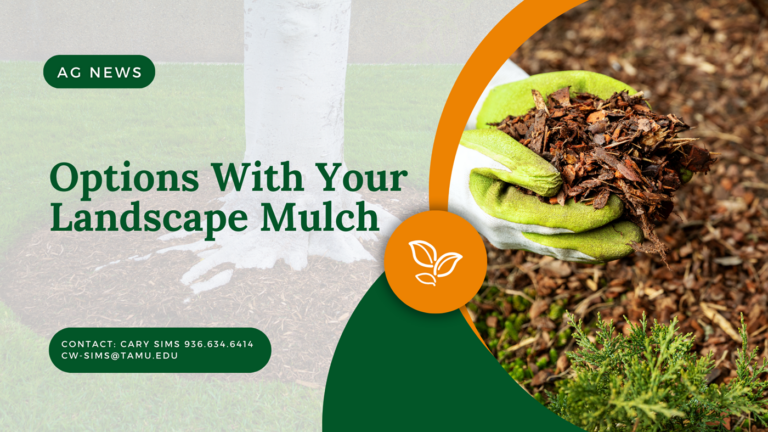 Options With Your Landscape Mulch Options With Your Landscape Mulch