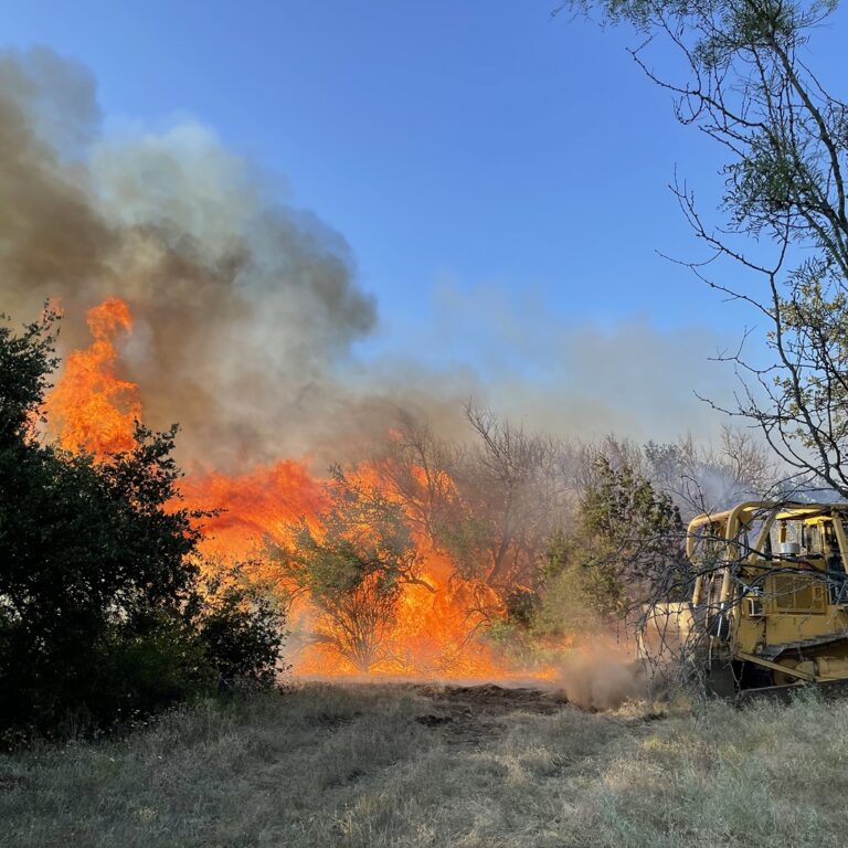 Texas A&M Forest Service Encourages Texans to Prevent Wildfires During Dove Hunting Season Texas A&M Forest Service Encourages Texans to Prevent Wildfires During Dove Hunting Season