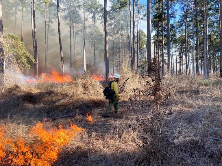 Funding Opportunities Available to East Texas Landowners for Prescribed Burning