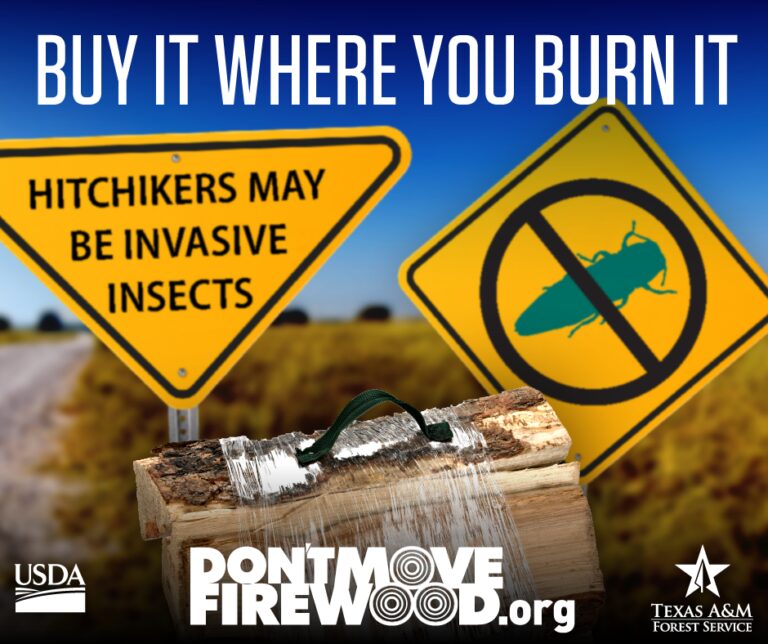 Don’t Move Firewood, Prevent The Spread of Invasive Pests and Diseases