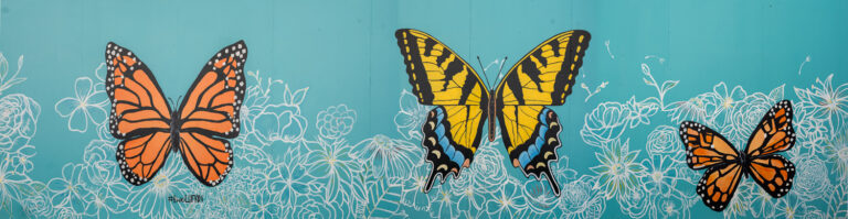 Downtown Lufkin Ribbon Cutting: South First Street Revitalization