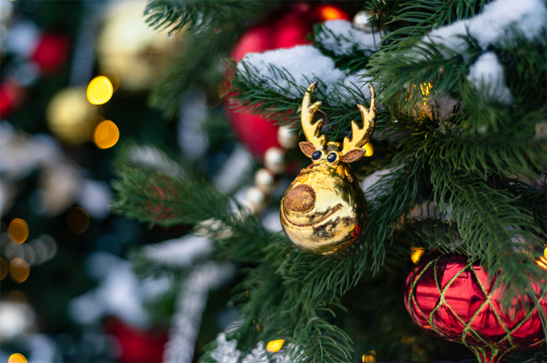 26th Annual Christmas Home Tour