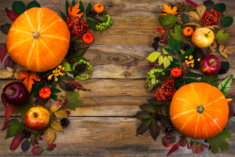 Giving Back to the Community During the Holiday Season