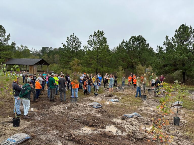 Texas A&M Forest Service Aids in East Texas Community Reforestation Project