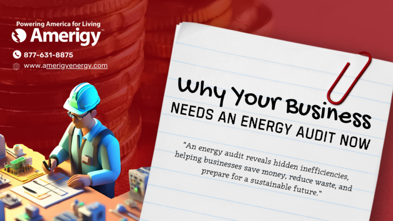 Why Your Business Needs an Energy Audit Now
