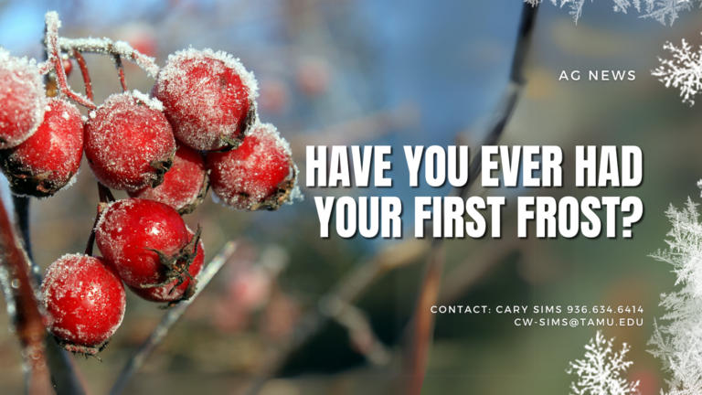 Have You Had Your First Frost?