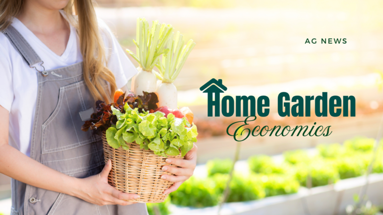 Home Garden Economics Home Garden Economics