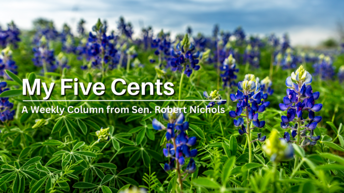 my five cents (WEEKLY)