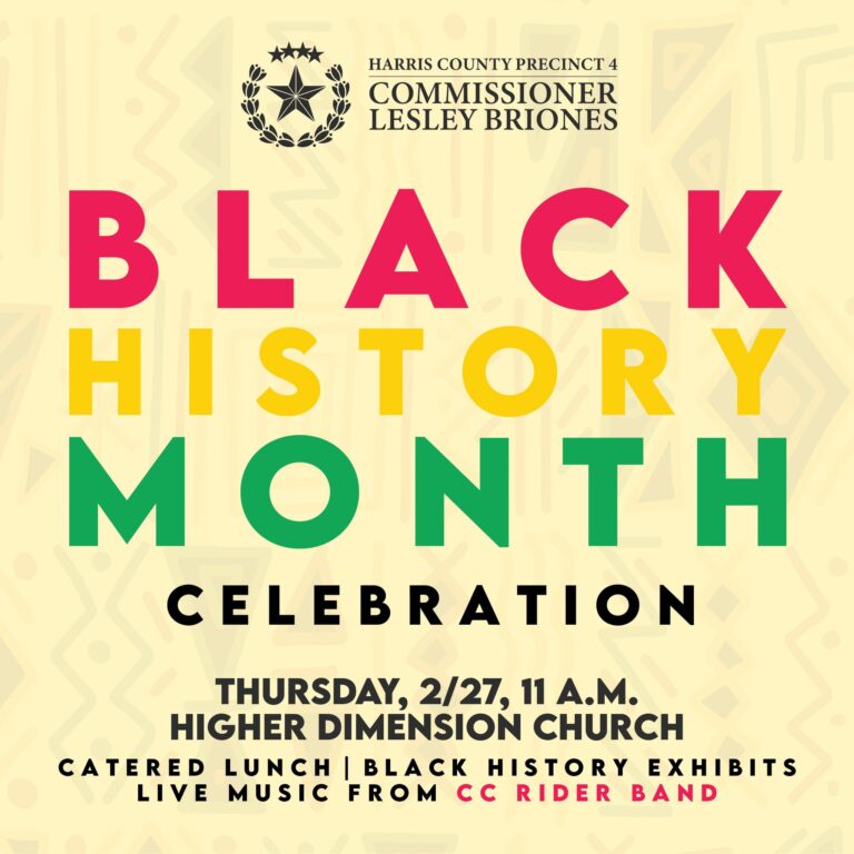 Black History Month (Houston County)