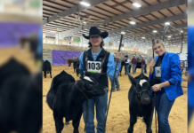 Why We Do the Angelina County Fair