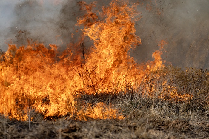 Prepare for Wildfires As Potential Continues
