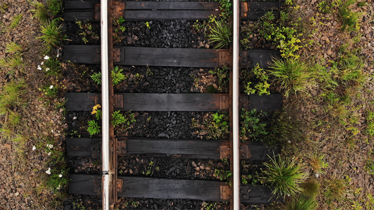 Rails Through the Pines: The Founding and Growth of Lufkin
