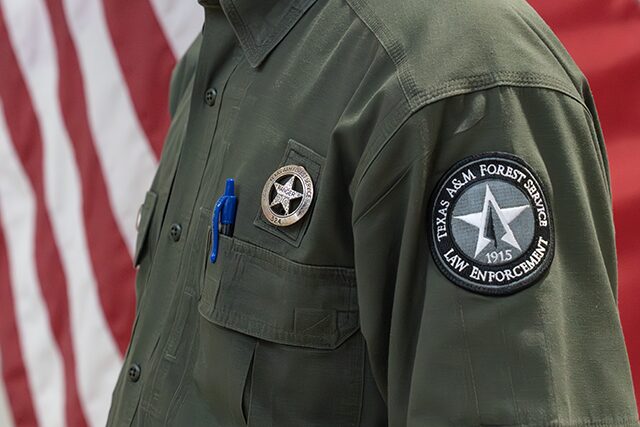 Panola County Timber Theft Case Resolved, Recovered $50,240