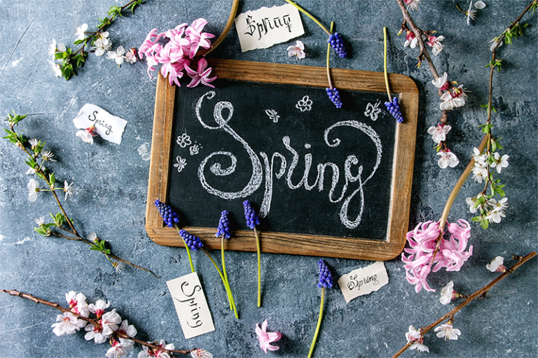 Spring Break Adventures: Discovering Hidden Gems in Our Backyard