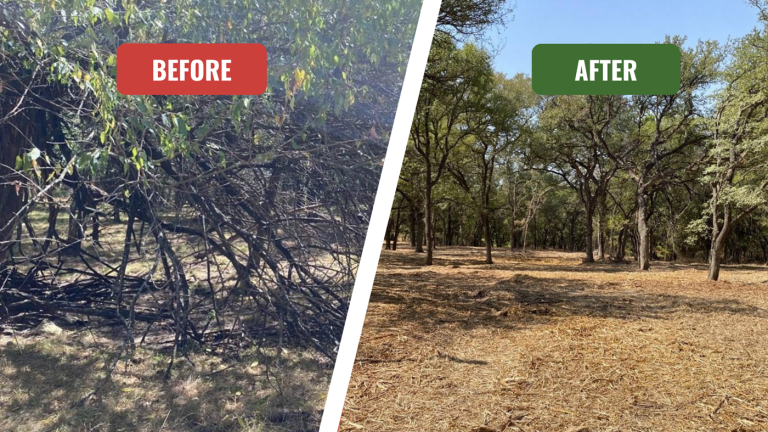 Texas A&M Forest Service Awards Landowners $155,000 for Wildfire Mitigation