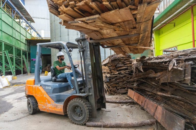 Texas Timber Industry Eyes New Opportunities Amid Steady Markets