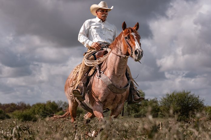 Texas A&M Ranch Horse Program