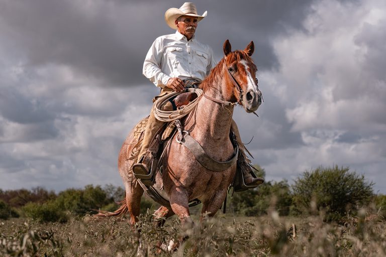 Texas A&M Ranch Horse Program