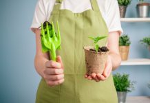 Black Friday Ideas for Those with Green Thumbs… or for Those Who Want a Green Thumb Closeup shot of a woman holding a green plant in palm of her hand. Close up