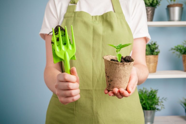 Closeup shot of a woman holding a green plant in palm of her hand. Close up