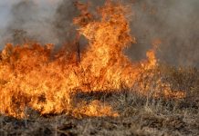 Elevated Wildfire Risk Expected Across Texas This Week