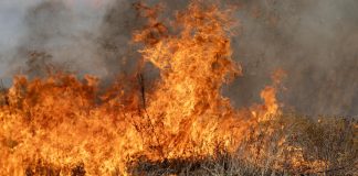 Elevated Wildfire Risk Expected Across Texas This Week