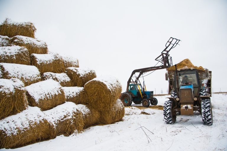 the-hay-storage-shed-full-of-bales-hay-on-farm-fa-2025-10-16-04-46-42-utc