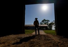 FarmHope Expands Mental Health Care and Education to Ag Industry Farmers and ranchers facing stressful times can receive free counseling and education through FarmHope, a collaboration between Texas A&M AgriLife Extension Service and the Texas A&M Health Telehealth Institute. (Michael Miller/Texas A&M AgriLife)