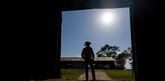 FarmHope Expands Mental Health Care and Education to Ag Industry Farmers and ranchers facing stressful times can receive free counseling and education through FarmHope, a collaboration between Texas A&M AgriLife Extension Service and the Texas A&M Health Telehealth Institute. (Michael Miller/Texas A&M AgriLife)