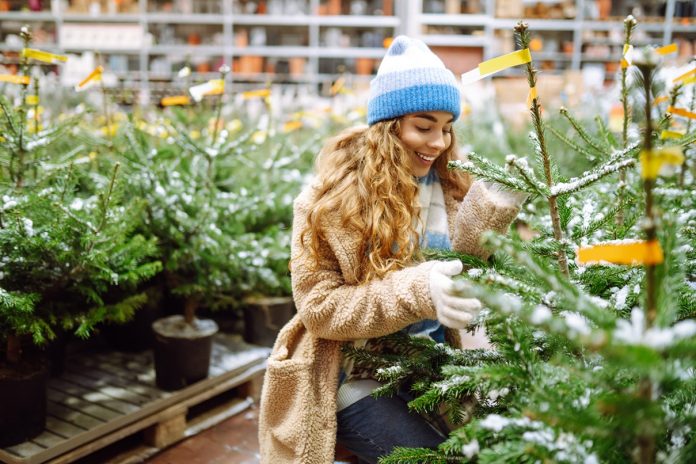 young smiling woman chooses Christmas tree to buy. Happy woman buying New Year tree for Christmas.
