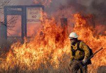 Dry Conditions and Increased Vegetation Set Stage for Higher Wildfire Risk in Texas Firefighters battle parts of the reignited Smokehouse Creek fire outside of Miami, Texas on Saturday, Mar 02, 2024. (Sam Craft/Texas A&M AgriLife Marketing and Communications)