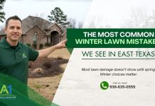 The Most Common Winter Lawn Mistakes We See in East Texas