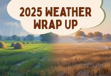 2025 Weather Wrap Up