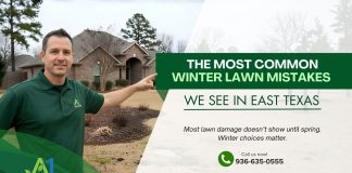 The Most Common Winter Lawn Mistakes We See in East Texas