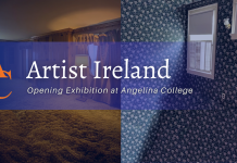 Artist Ireland Opening Exhibition at Angelina College