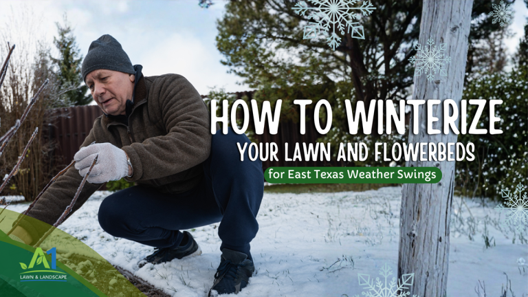 How to Winterize Your Lawn and Flowerbeds for East Texas Weather Swings