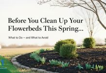 Flowerbed Refresh: Preparing East Texas Landscapes for Spring Without Doing Too Much Too Soon