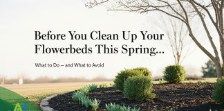 Flowerbed Refresh: Preparing East Texas Landscapes for Spring Without Doing Too Much Too Soon